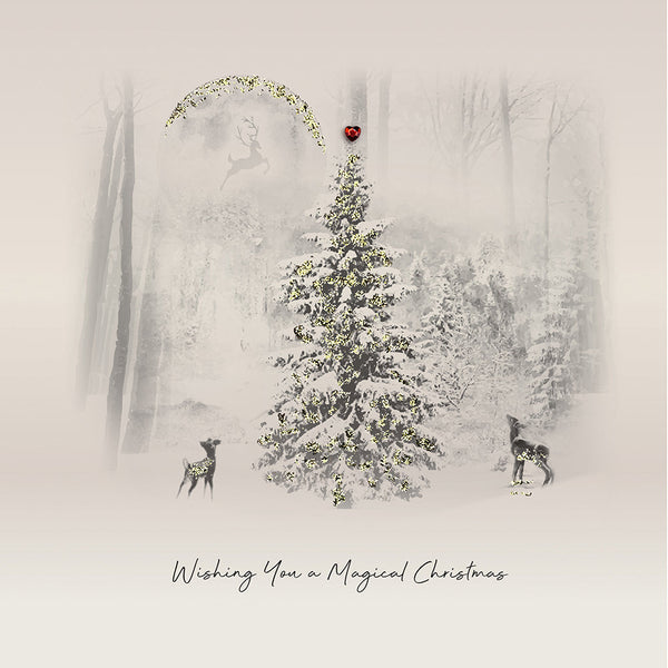Wishing You a Magical Christmas