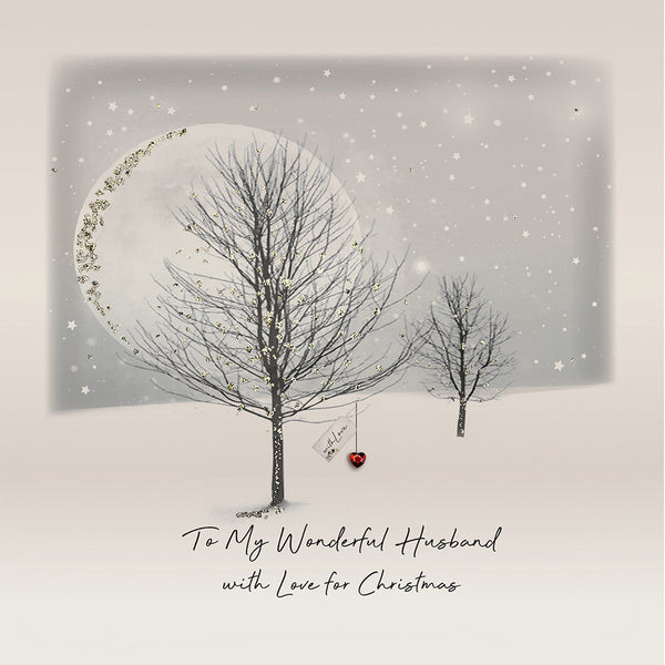 To My Wonderful Husband with Love for Christmas