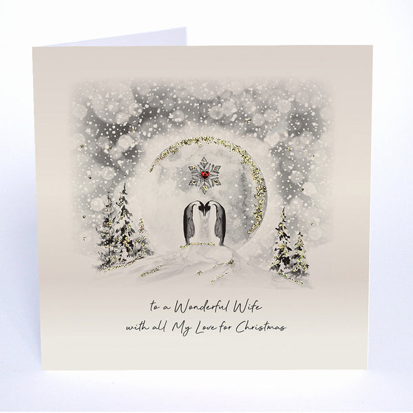 To a Wonderful Wife with all My Love for Christmas