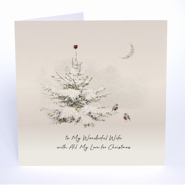 To My Wonderful Wife with All My Love for Christmas