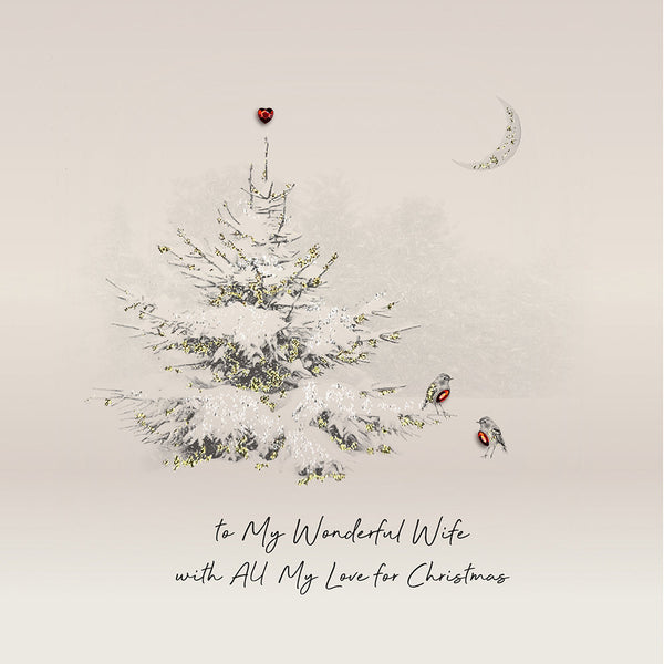 To My Wonderful Wife with All My Love for Christmas