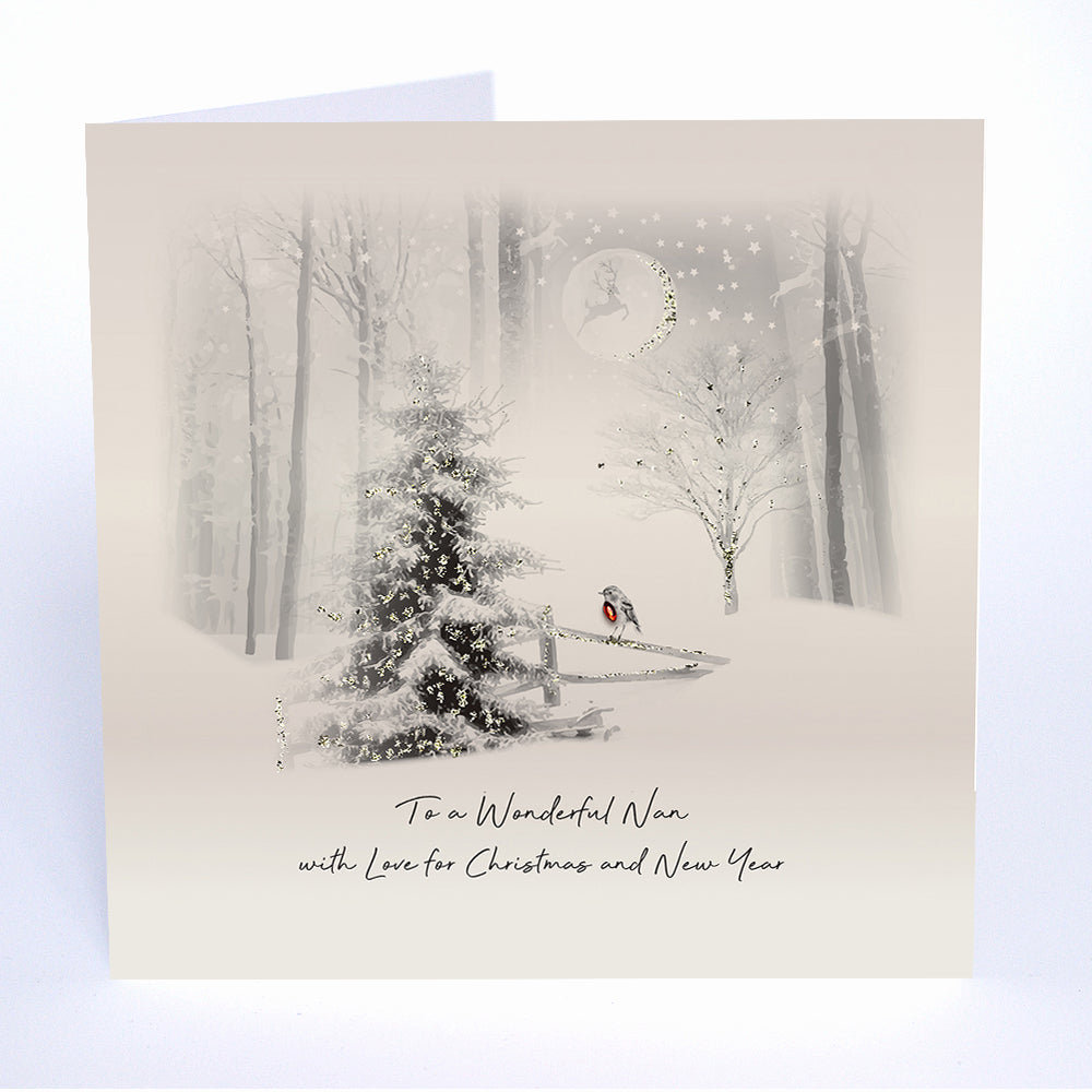 To a Wonderful Nan with Love for Christmas and New Year