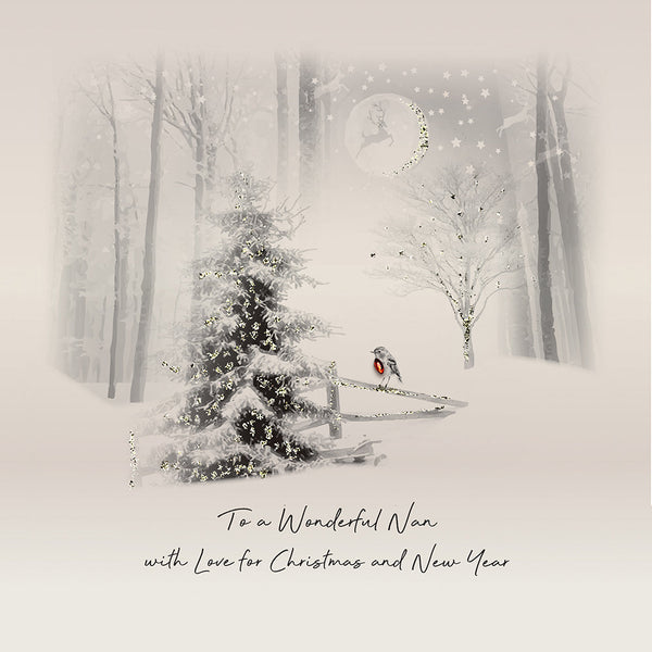 To a Wonderful Nan with Love for Christmas and New Year
