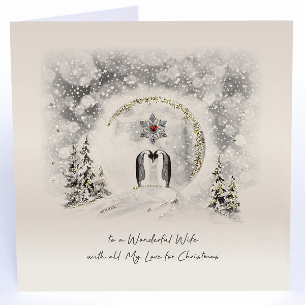 To a Wonderful Wife with all My Love for Christmas