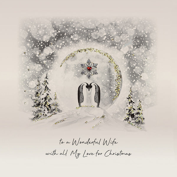 To a Wonderful Wife with all My Love for Christmas