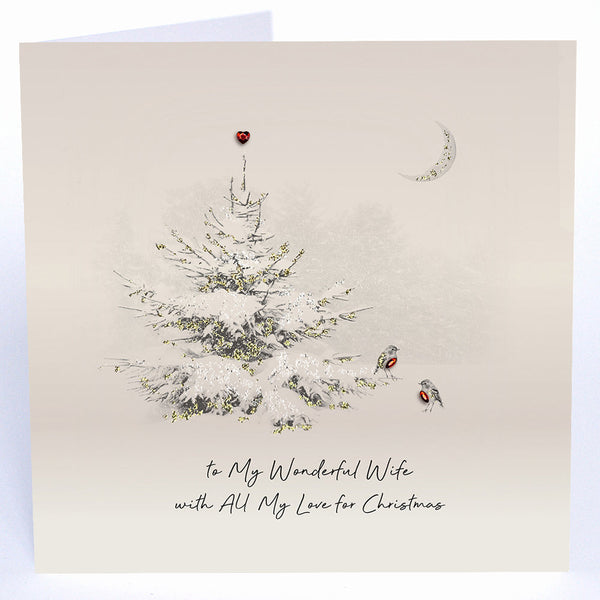 To My Wonderful Wife with All My Love for Christmas
