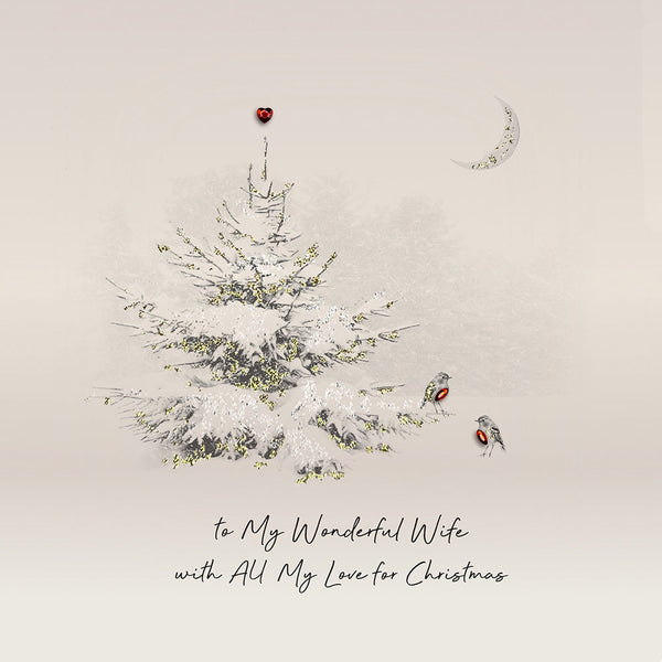 To My Wonderful Wife with All My Love for Christmas