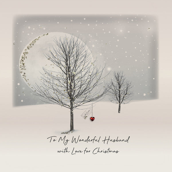 To My Wonderful Husband with Love for Christmas