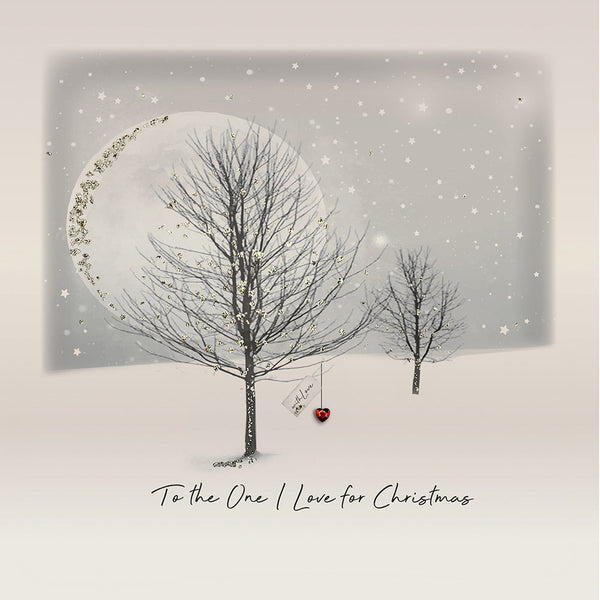 To the One I Love for Christmas