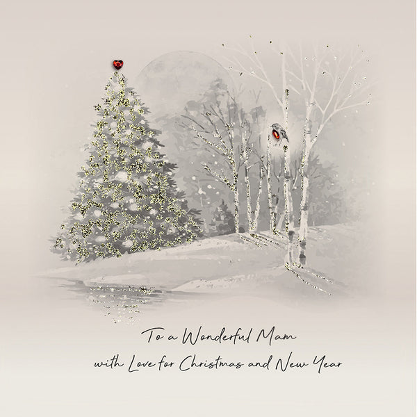 To a Wonderful Mam with Love for Christmas and New Year