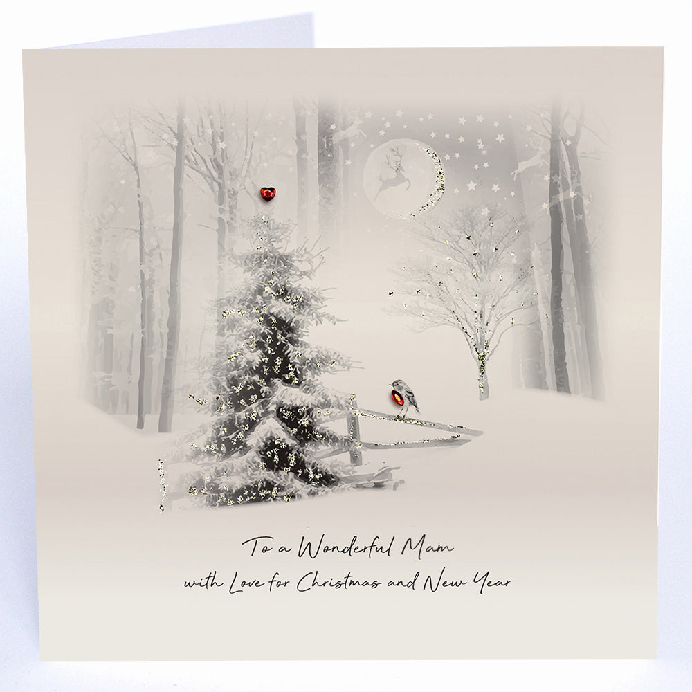 To a Wonderful Mam with Love for Christmas and New Year