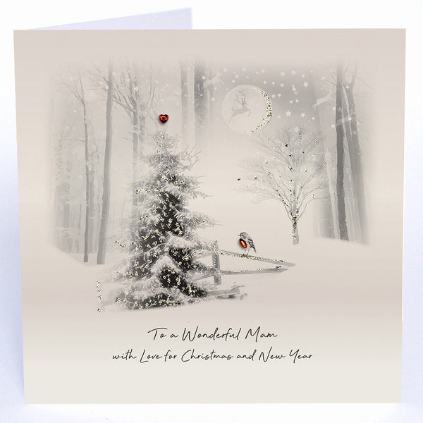 To a Wonderful Mam with Love for Christmas and New Year