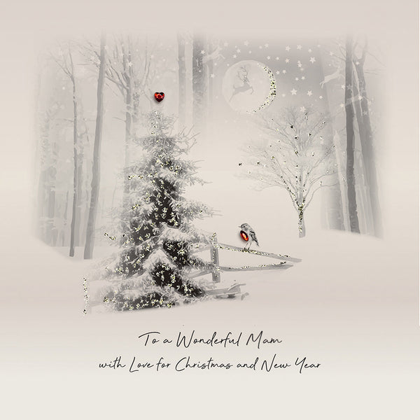To a Wonderful Mam with Love for Christmas and New Year