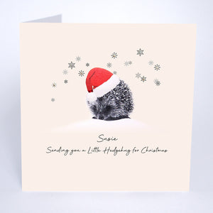 PERSONALISE FOR… Sending You a Little Hedgehug for Christmas