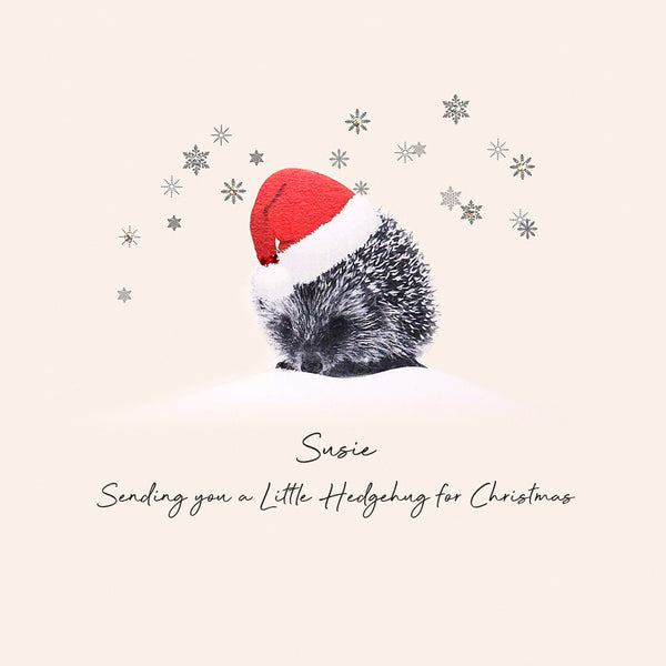 PERSONALISE FOR… Sending You a Little Hedgehug for Christmas