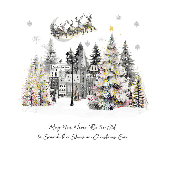 May You Never Be too Old to Search the Skies on Christmas Eve