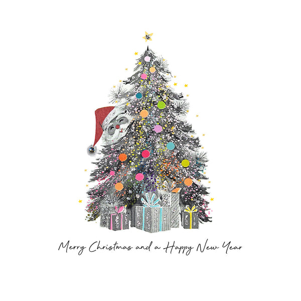 Merry Christmas and a Happy New Year