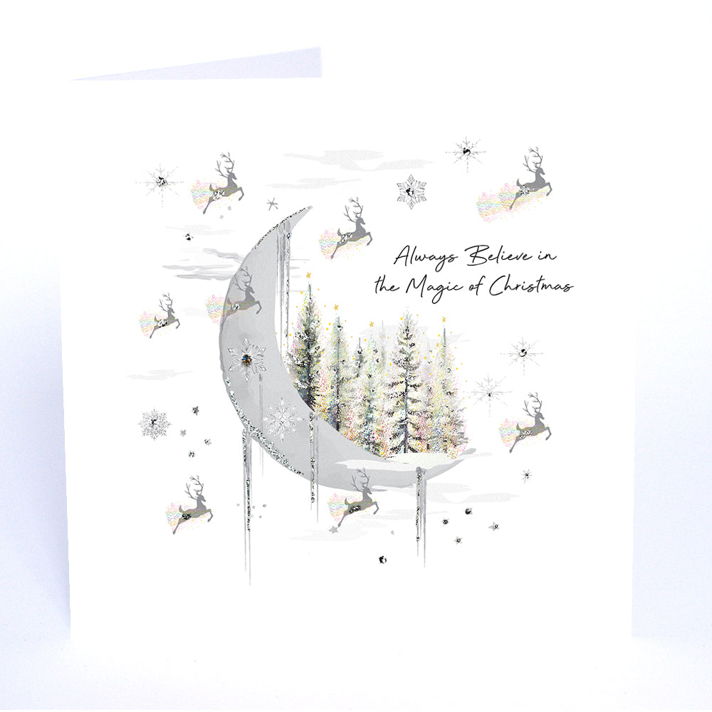 Always Believe in the Magic of Christmas