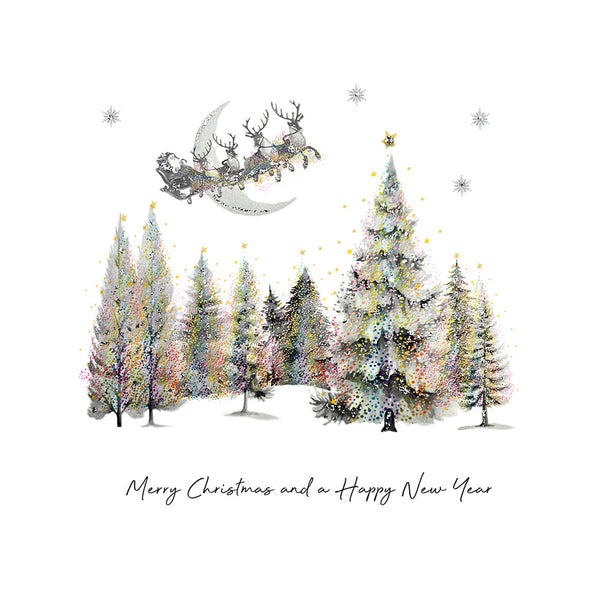 Merry Christmas and a Happy New Year