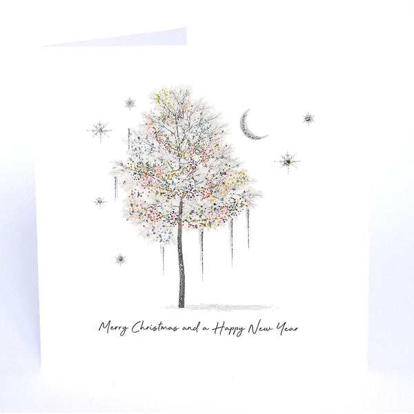 Merry Christmas and a Happy New Year