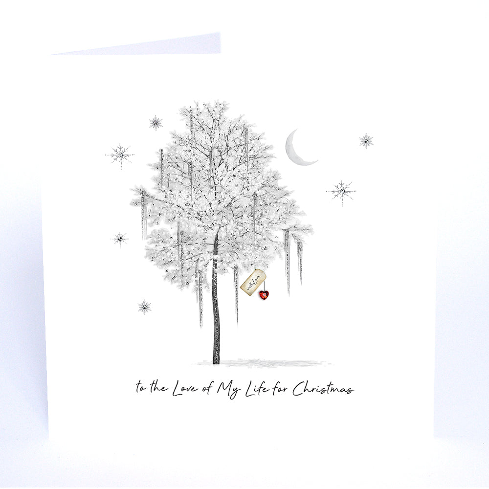 To the Love of My Life for Christmas