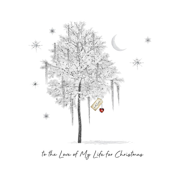 To the Love of My Life for Christmas