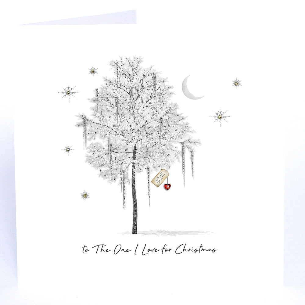 To The One I Love for Christmas