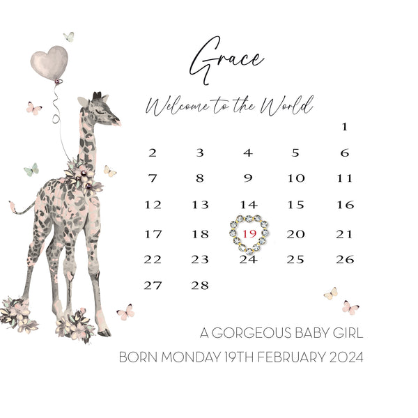 Welcome to the World A Gorgeous Baby Girl (Calendar)