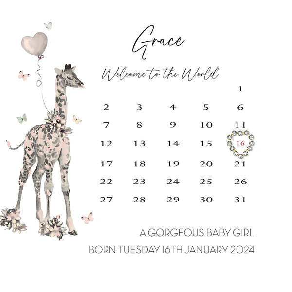 Welcome to the World A Gorgeous Baby Girl (Calendar)