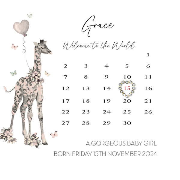 Welcome to the World A Gorgeous Baby Girl (Calendar)