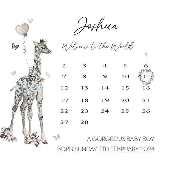 Welcome to the World A Gorgeous Baby Boy (Calendar)