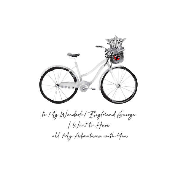 To My Wonderful Boyfriend I Want to Have all My Adventures with You (Bicycle)