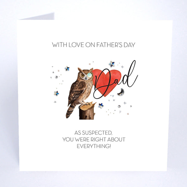 As suspected you were right about everything! (Wise Owl)