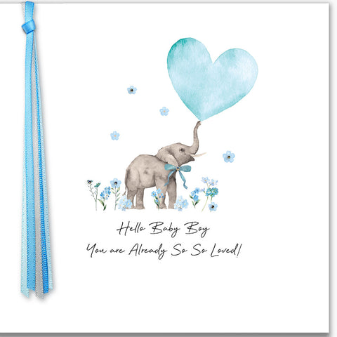 Hello Baby Boy You Are Already So Loved!
