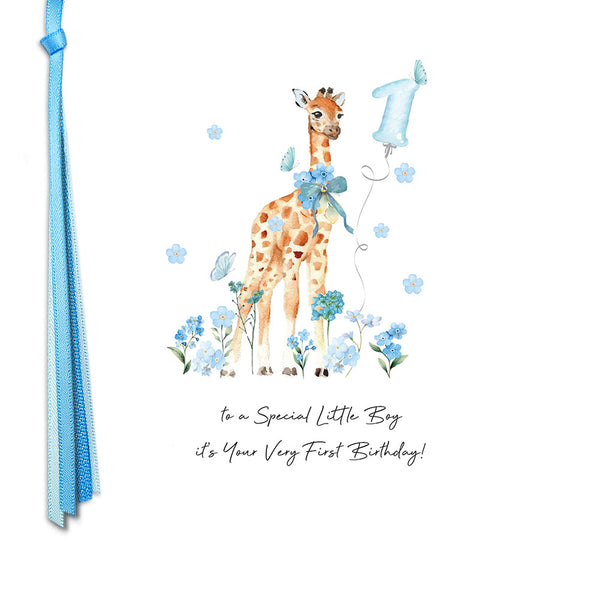 To A Special Little Boy It's Your Very First Birthday