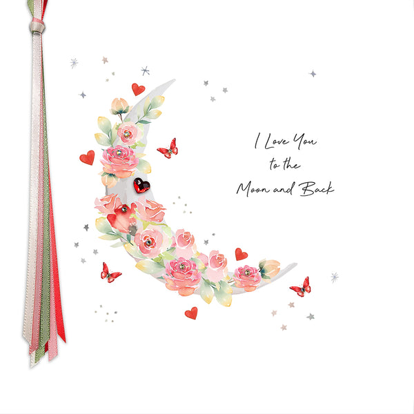 To The Moon And Back