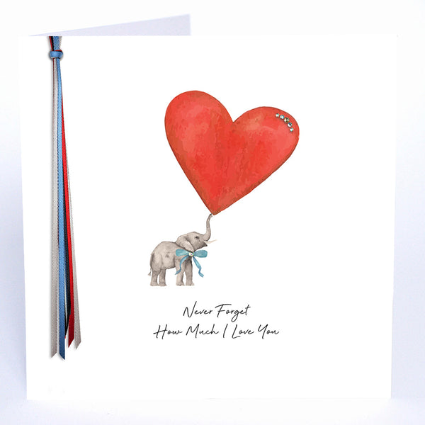 Never Forget How Much I Love You