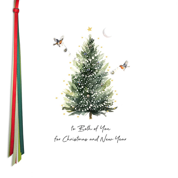 To Both Of You For Christmas and New Year