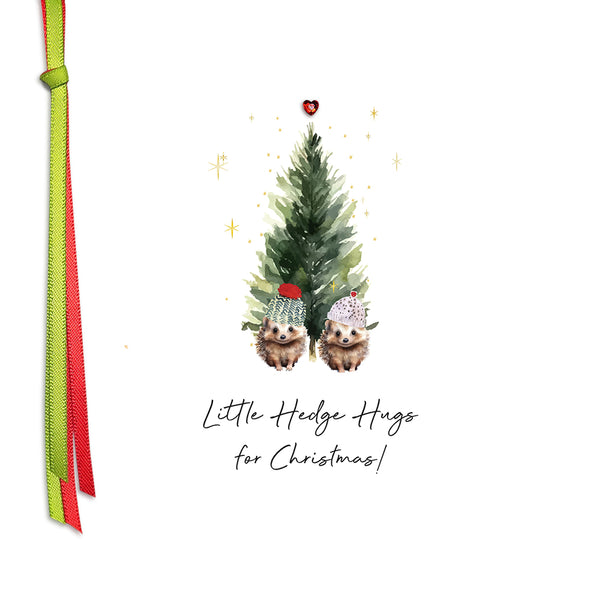 Little Hedge Hugs for Christmas!