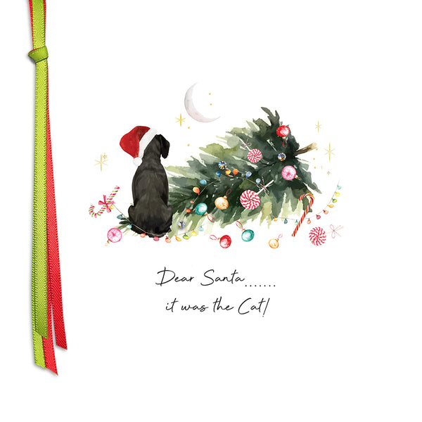 Dear Santa....... it was the Cat!