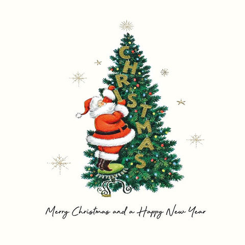 Merry Christmas (Santa)