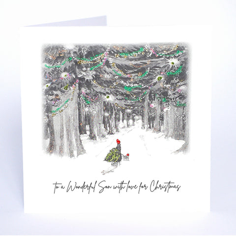 To a Wonderful Son, with Love for Christmas