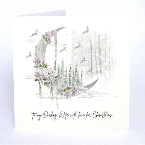 To My Darling Wife, with Love for Christmas