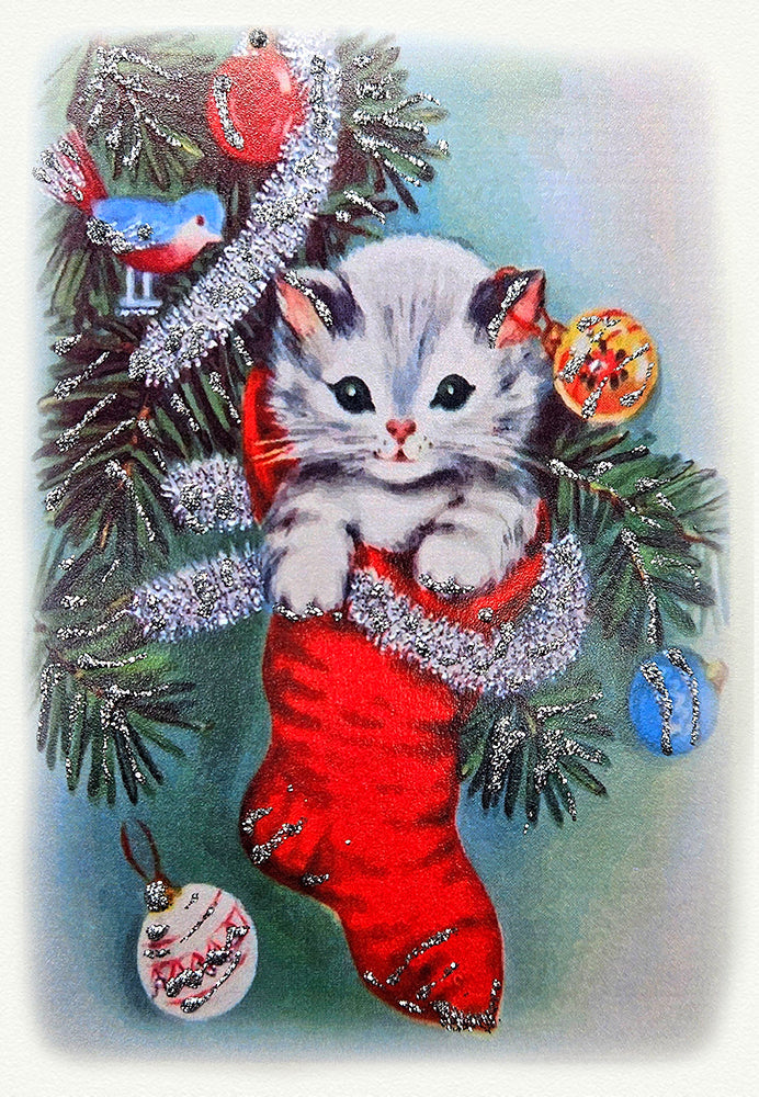 Kitten in Stocking
