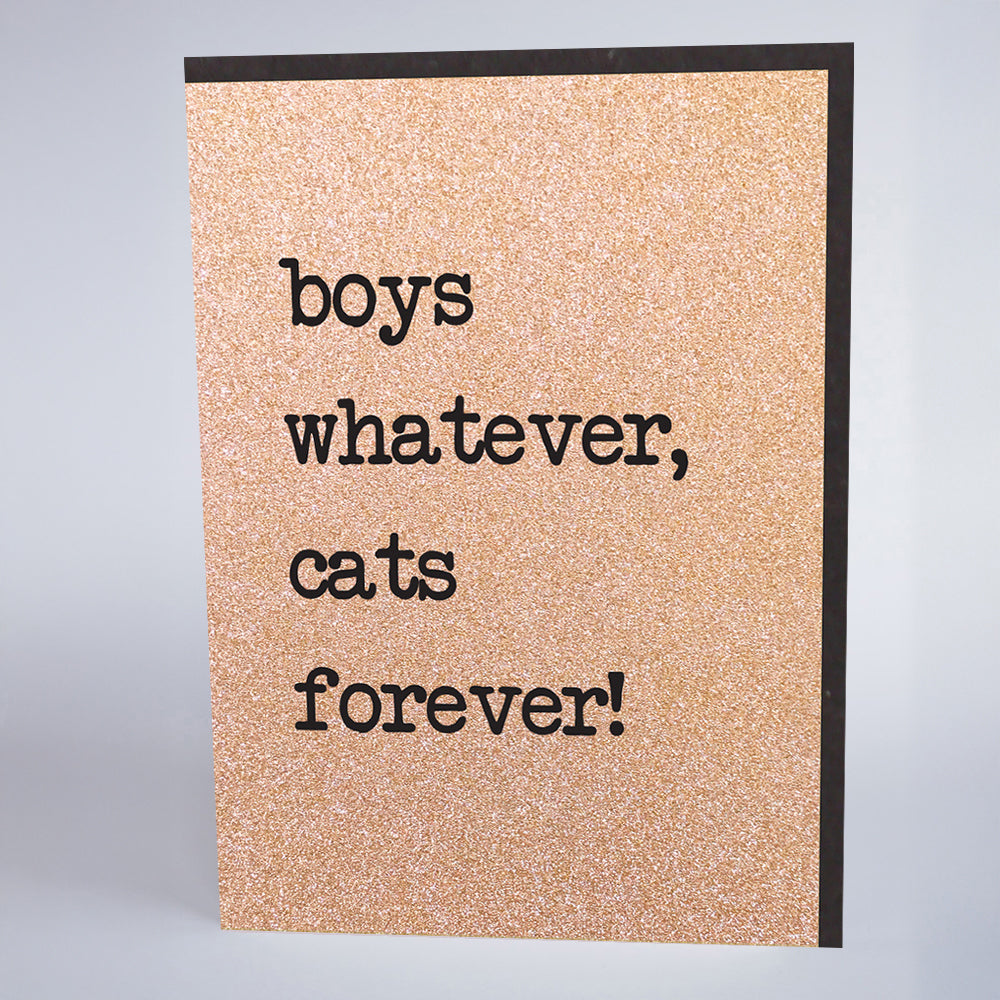 Boys Whatever, Cats Forever!