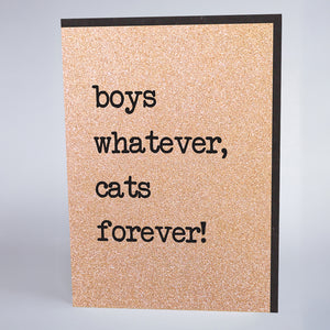 Boys Whatever, Cats Forever!