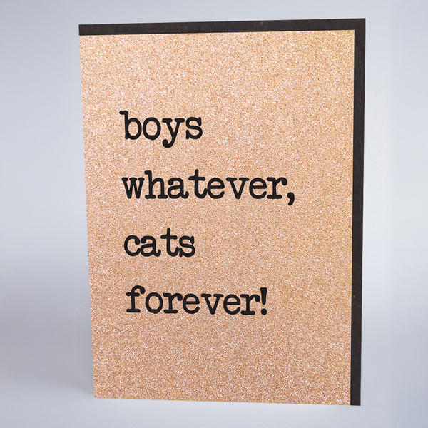 Boys Whatever, Cats Forever!