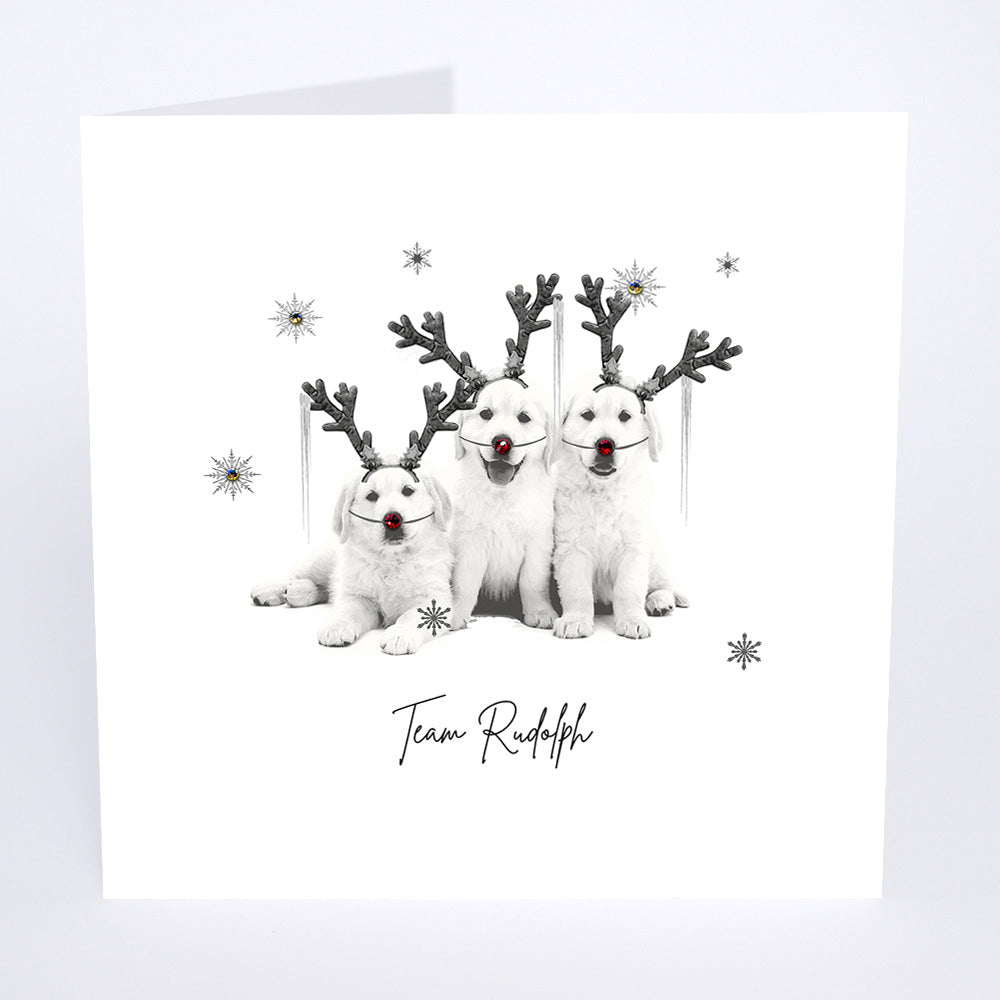 Team Rudolph