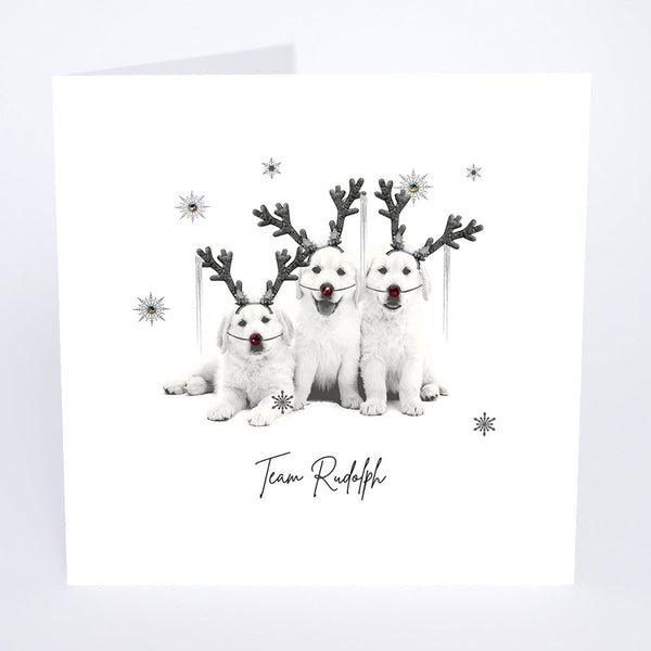 Team Rudolph