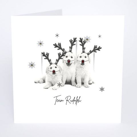 Team Rudolph